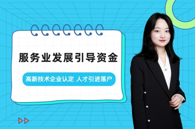 服务业发展引导资金  
