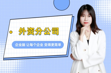 外资分公司