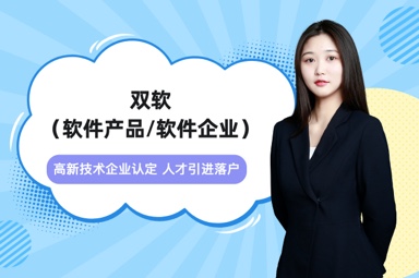 双软（软件产品/软件企业）