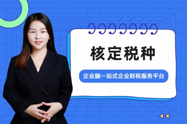 核定税种