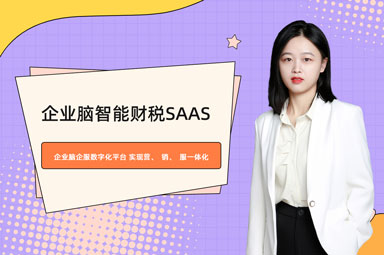  企业脑智能财税SaaS