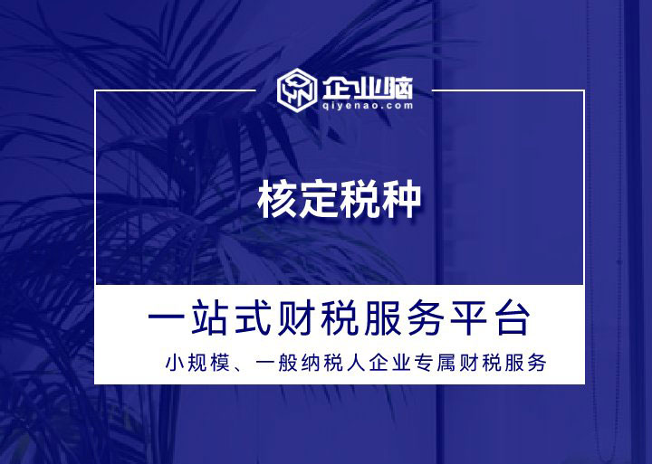 核定税种_01.jpg