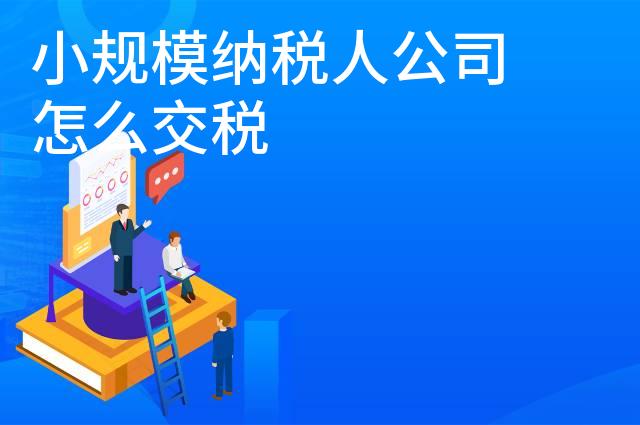 小规模纳税人公司怎么交税
