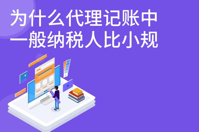 为什么代理记账中一般纳税人比小规模纳税人贵