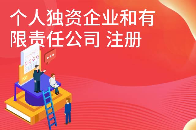 个人独资企业和有限责任公司 注册哪个比较好