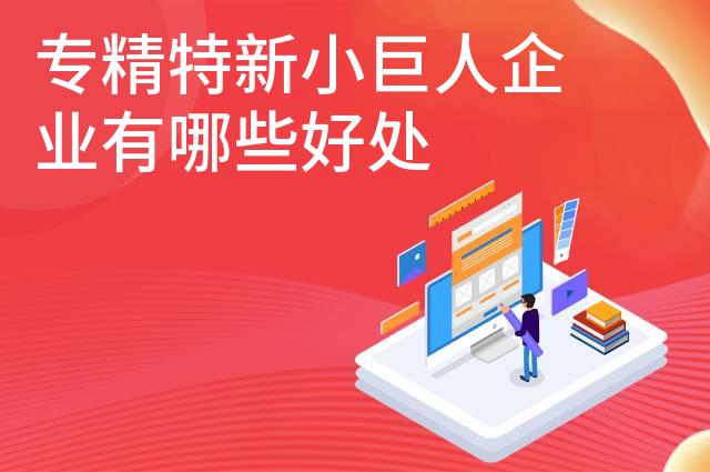 专精特新小巨人企业有哪些好处