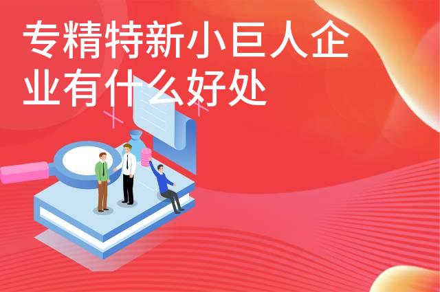 专精特新小巨人企业有什么好处