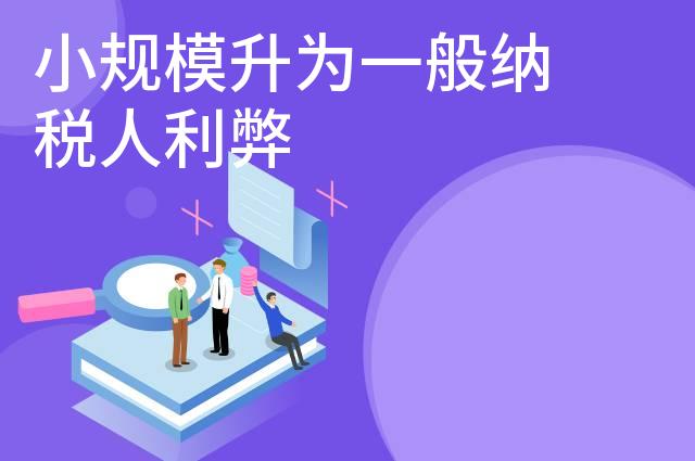 小规模升为一般纳税人利弊