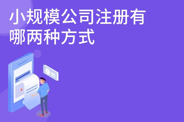 小规模公司注册有哪两种方式