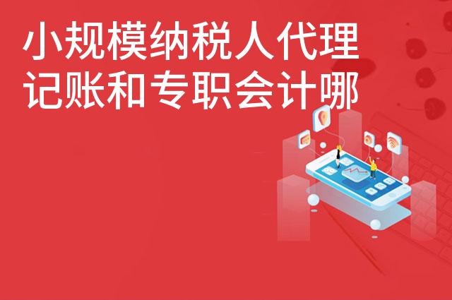 小规模纳税人代理记账和专职会计哪个更合算