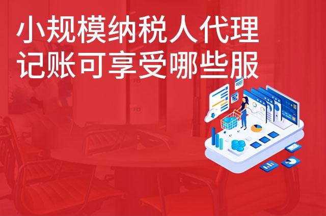 小规模纳税人代理记账可享受哪些服务