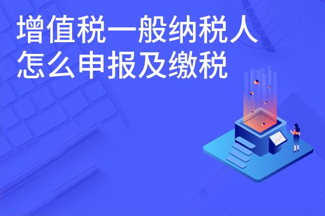 增值税一般纳税人怎么申报及缴税