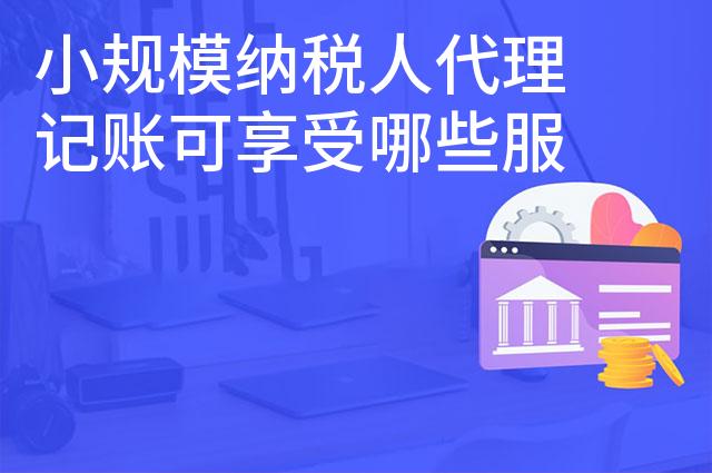 小规模纳税人代理记账可享受哪些服务