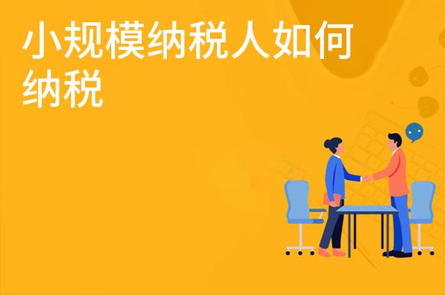 小规模纳税人如何纳税