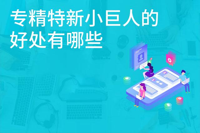 专精特新小巨人的好处有哪些