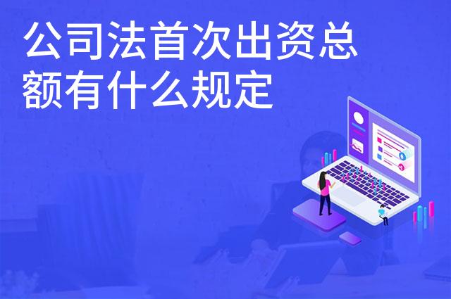 公司法首次出资总额有什么规定