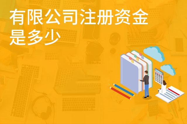 有限公司注册资金是多少