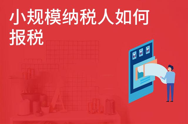 小规模纳税人如何报税