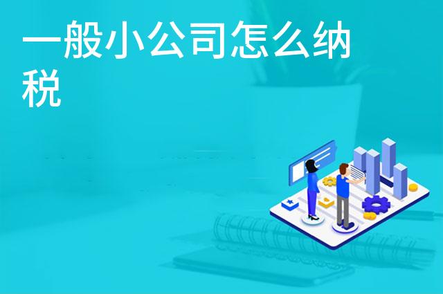 一般小公司怎么纳税