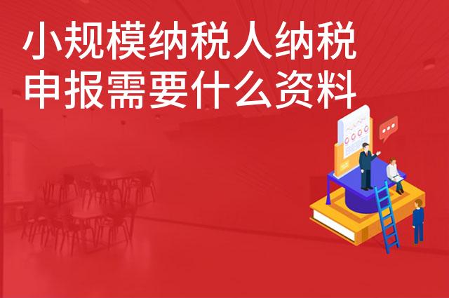 小规模纳税人纳税申报需要什么资料