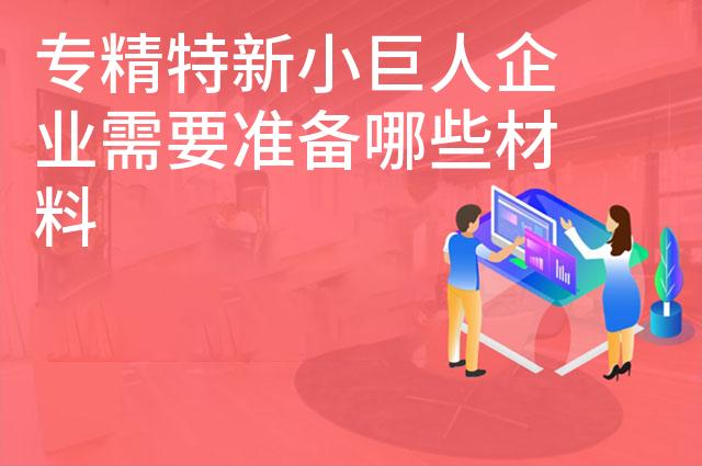 专精特新小巨人企业需要准备哪些材料 