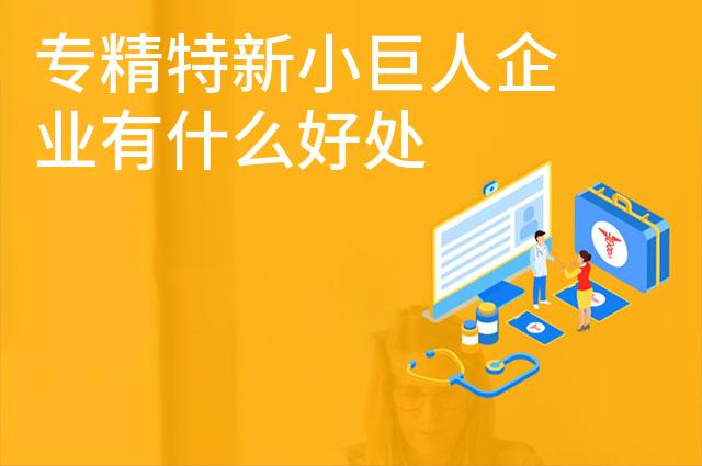 专精特新小巨人企业有什么好处 
