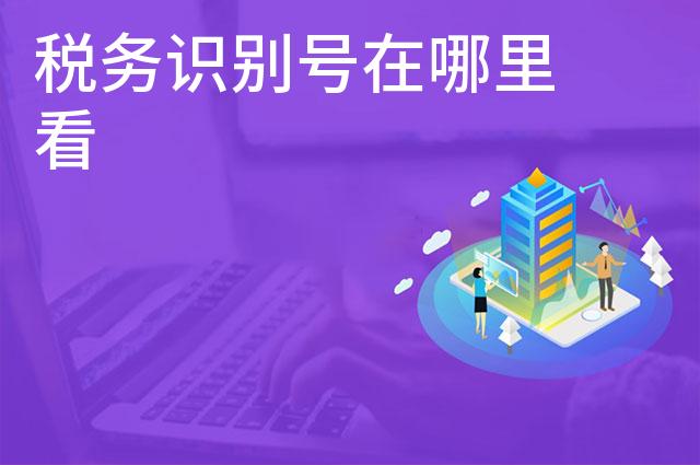 税务识别号在哪里看 