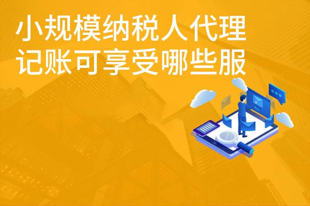 小规模纳税人代理记账可享受哪些服务