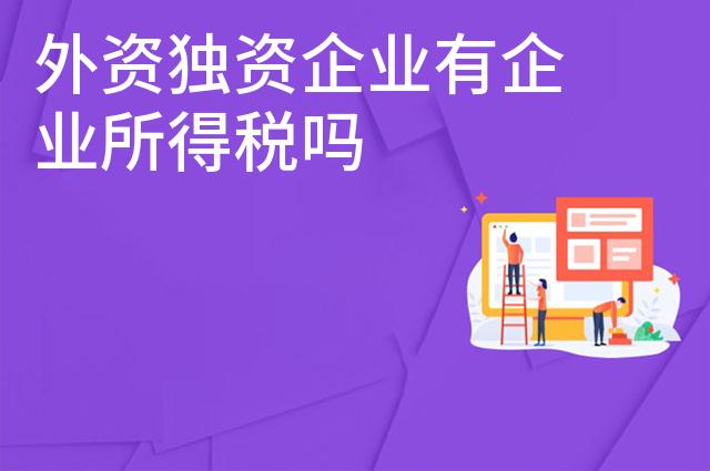 外资独资企业有企业所得税吗