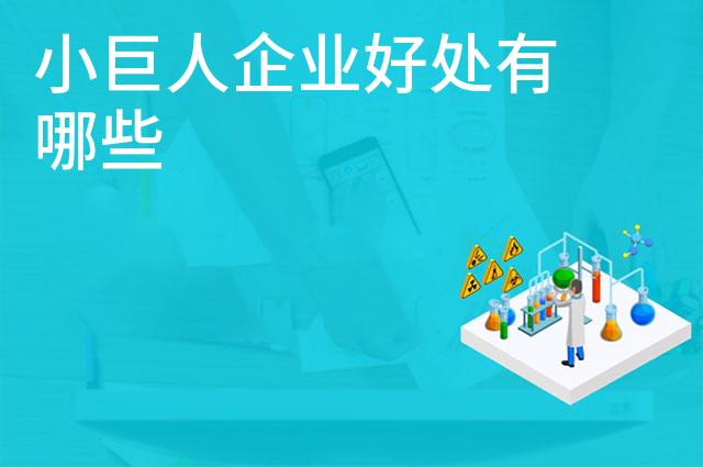 小巨人企业好处有哪些