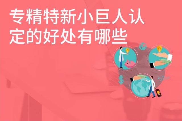 专精特新小巨人认定的好处有哪些