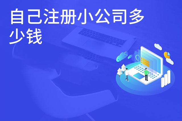 自己注册小公司多少钱