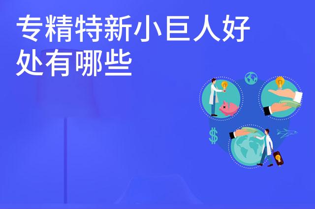 专精特新小巨人好处有哪些