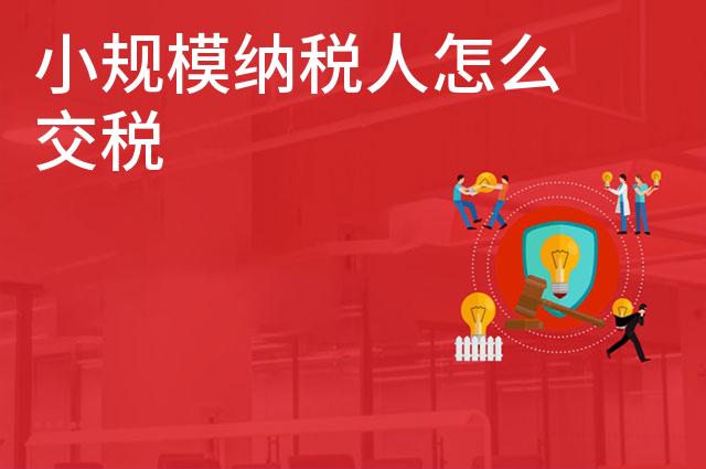 小规模纳税人怎么交税