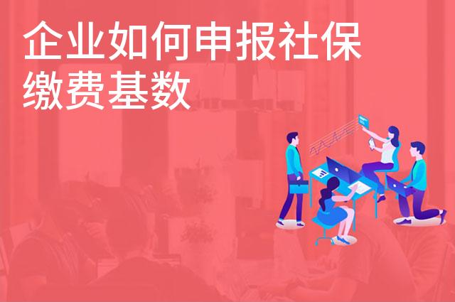 企业如何申报社保缴费基数