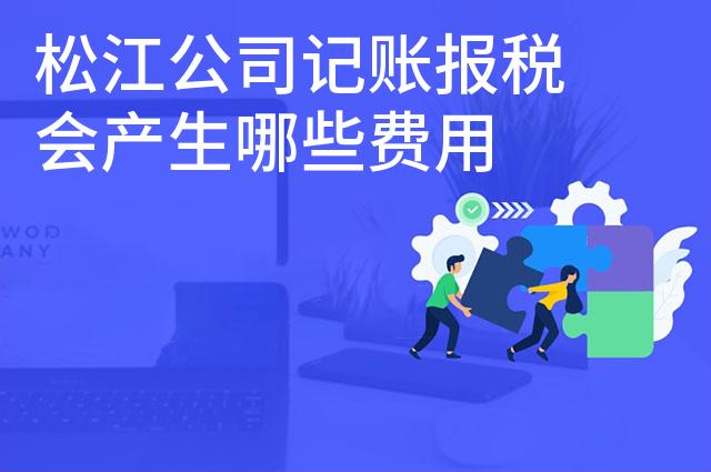 松江公司记账报税会产生哪些费用