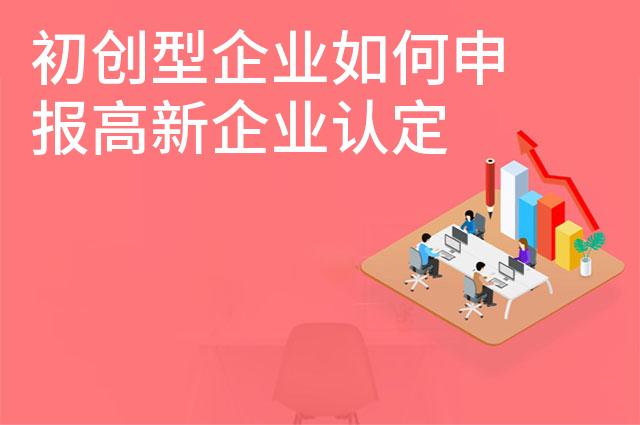 初创型企业如何申报高新企业认定