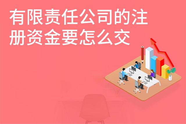 有限责任公司的注册资金要怎么交 有限责任公司的注册资金要怎么交
