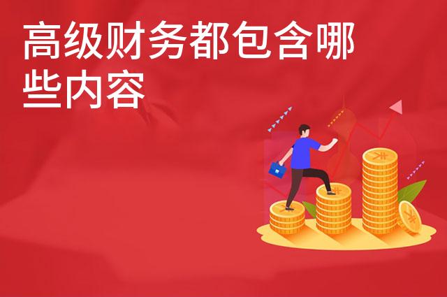 高级财务都包含哪些内容