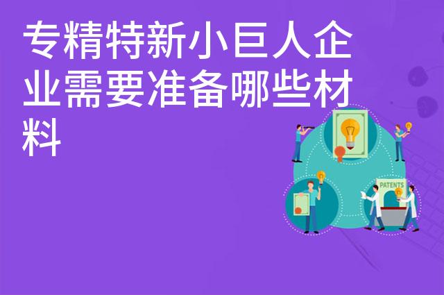 专精特新小巨人企业需要准备哪些材料 