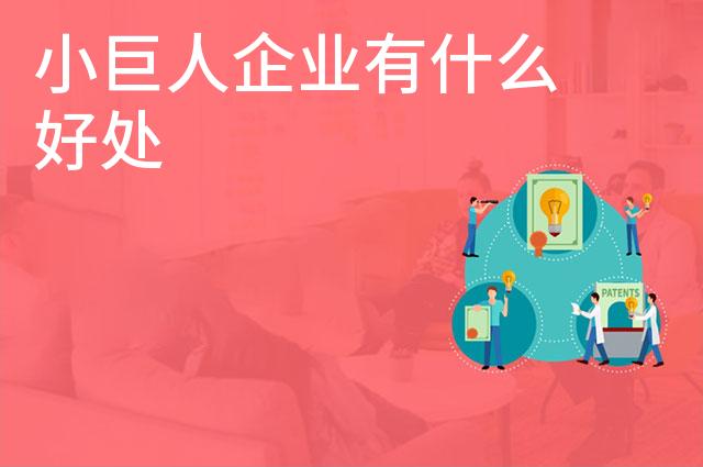 小巨人企业有什么好处 